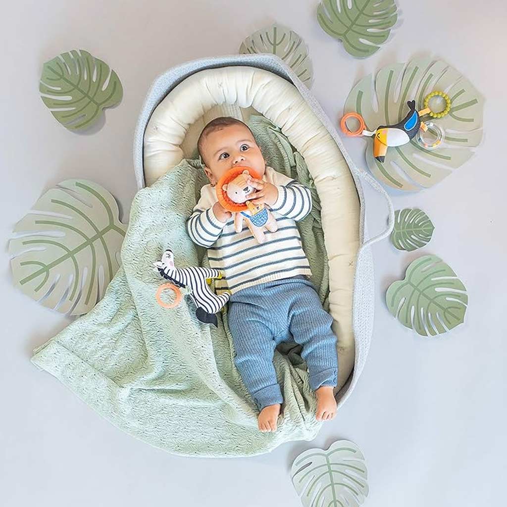 Taf Toys Dizi the Zebra