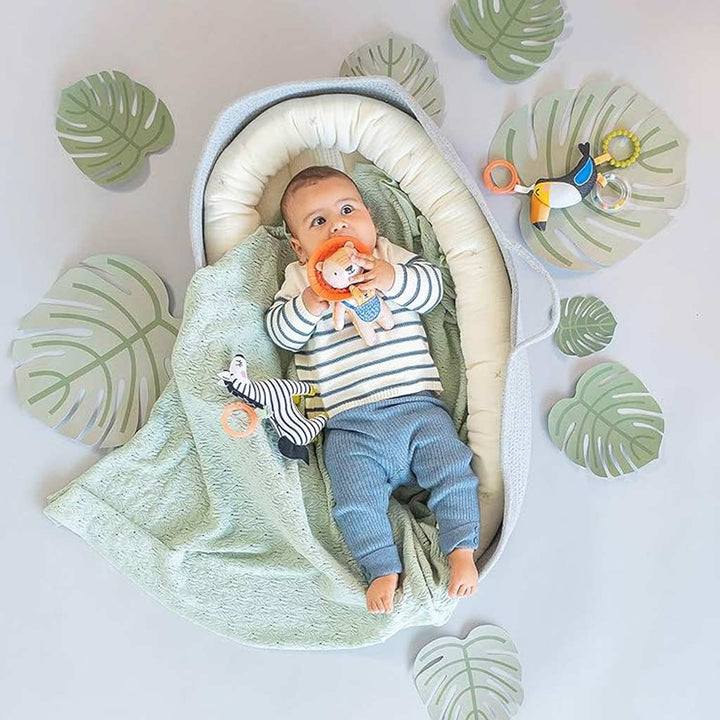 Taf Toys Dizi the Zebra