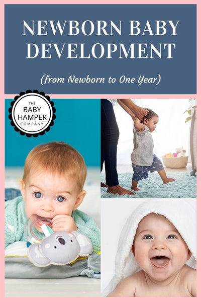 Newborn Baby Development (from Newborn to One Year)