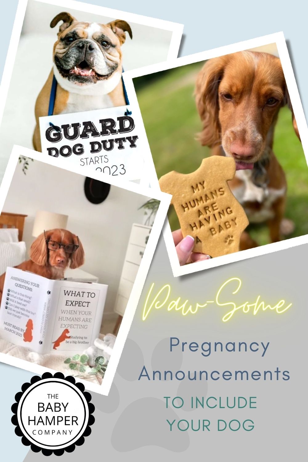 Paw-Some Pregnancy Announcements To Include Your Dog