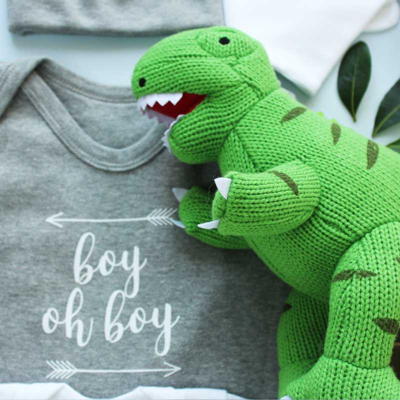 Dinosaur baby gifts