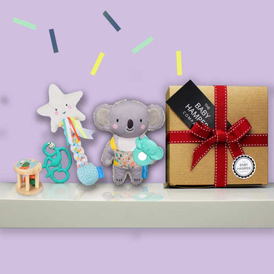 Baby Hampers & Gifts for 3-6 Month Olds