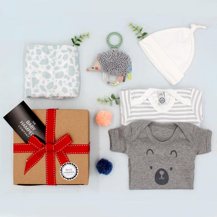 Baby Boy Hamper - Large