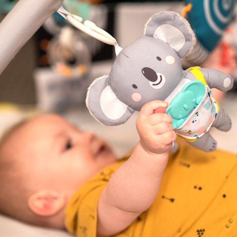 Taf Toys Koala Baby Gift Set